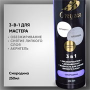 Обезжириватель-дезинфектор, жидкость для снятия липкого слоя 3 в 1 (Смородина) 250мл 36910